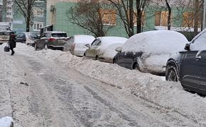 В Петербурге вводят «желтый» уровень погодной опасности