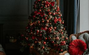 Киркоров потратил почти 1 миллион рублей на новогоднюю ёлку 