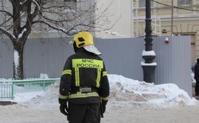 В Петербурге осудили квартет поджигателей люксовых авто