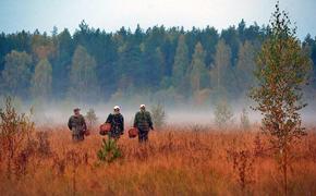 Несмотря на декабрь, в Крыму грибы морочат людям головы