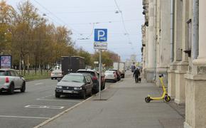 Жительницу Петербурга не стали штрафовать из-за невидимого знака