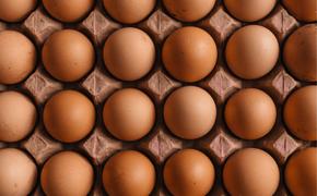 Из Азербайджана ввезли первую партию куриных яиц