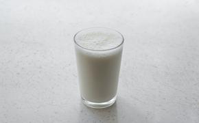 Башкирия впервые организовала поставки сухого молока в Алжир
