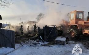 В Хабаровском крае пожарные спасли из огня 30 животных
