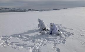 На Северном полюсе в выпавших осадках обнаружены следы солнцезащитных средств 