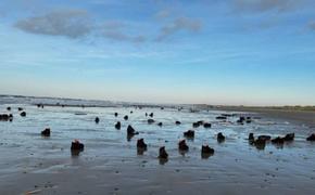 14 км пляжа в Дании завалено ботинками, выброшенными сильным штормом