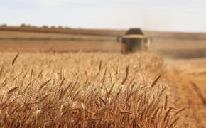 Экспорт зерна из России с начала сезона обновил исторический рекорд