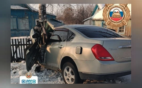 В Хабаровском крае при ДТП с деревом погиб пассажир
