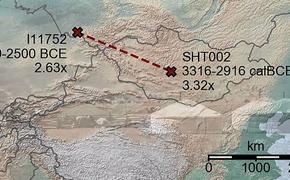 Ученые смогли идентифицировать доисторических личностей до 6-го колена