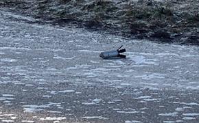 В Белгороде обнаружены два неразорвавшихся снаряда ВСУ