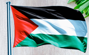 Разбой и пиратство как метод солидарности с палестинцами