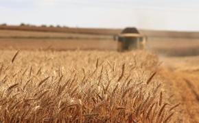 Страны ЕС призвали Еврокомиссию ввести пошлины на сельхозпродукцию с Украины