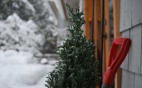 Кардиолог Франклин: уборка снега может стать причиной сердечного приступа
