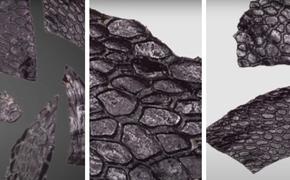 Самая древняя из известных окаменелостей рептилий, найдена в пещере Оклахомы