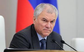 Володин призвал депутатов Госдумы показать пример по созданию многодетных семей