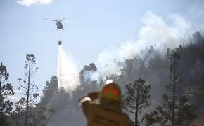 Пожарные борются с «вышедшим из-под контроля» огнем в Патагонии