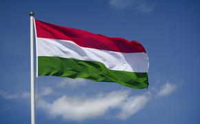Глава МИД Венгрии призвал Украину восстановить права венгров Закарпатья