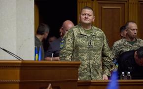 Минобороны Украины опровергло информацию об увольнении Залужного
