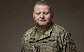 Залужный упрекнул руководство Украины в неспособности провести мобилизацию