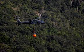 Колумбия, обычно влажная страна, страдает от сильнейших лесных пожаров