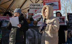 Зооактивисты в Хабаровске призвали к линчеванию и самосуду