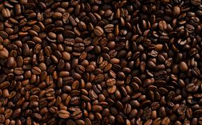 Эндокринолог Павлова заявила, что кофейная диета небезопасна