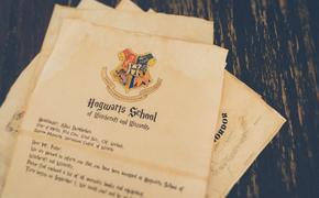 За подделку книг о «Гарри Поттере» житель Кургана заплатит более 22 млн рублей 