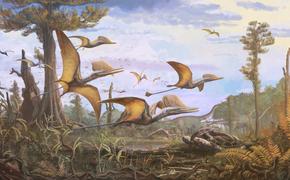 Обнаружен новый вид птерозавра «Крыло в тумане» юрского периода 