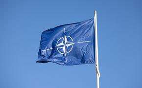 Handelsblatt: НАТО возьмет на себя координацию военной помощи Киеву