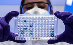 В США зарегистрировали первый смертельный случай от вируса «Аляскапокс»