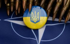 Экс-сотрудник ЦРУ Макговерн: НАТО распадется после конфликта на Украине