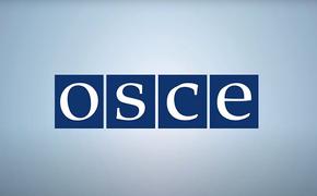Россия покинет Парламентскую ассамблею ОБСЕ 