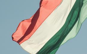Венгрия присоединилась к коалиции 20 стран НАТО по разминированию Украины