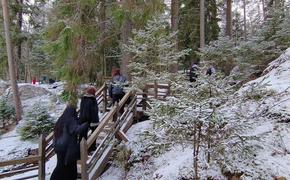 В Петербурге собираются создать экотропу на старой границе с Финляндией