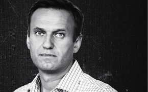 Ассанж и Навальный*: мотивы ЦРУ к планированию убийства?