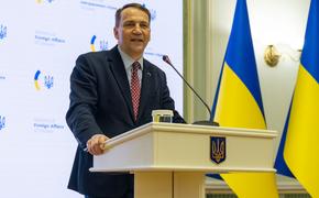 Сикорский: Польша платит за солидарность Евросоюза с Украиной