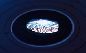 Плюсы и минусы биометрии