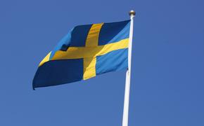 SVT: Швеция не способна полностью восполнить запасы оружия после поставок ВСУ