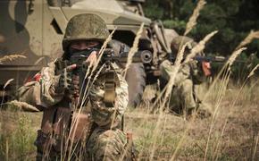 МО: костромские десантники уничтожили группу ВСУ в опорном пункте у Артемовска