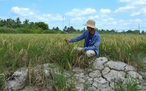 «Миска с рисом» во Вьетнаме треснула из-за чудовищной жары