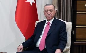 Эрдоган заявил о принципиальной поддержке мирного плана Зеленского