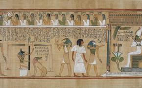 Острый васаби начали использовать для сохранения древнего папируса