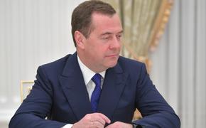Медведев: «западный политический паноптикум» являет собой «зловещее зрелище»