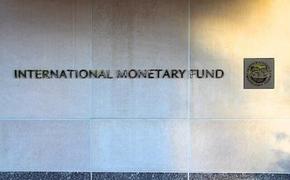 Экс-член совета МВФ Аскари: конфискация активов РФ навредит мировой экономике