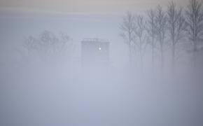 Жителей Ленобласти предупредили о надвигающемся тумане и мокром снеге с дождем 