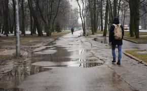 В Калининграде в последний день зимы потеплеет до +10 градусов 