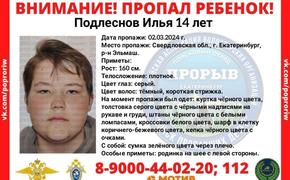 В Екатеринбурге пропал 14-летний Илья Подлеснов