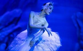На федеральном телеканале состоится премьера программы «Большой балет»