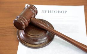 Троих жителей Хабаровска осудили за нападение на горожанку