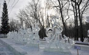 В Хабаровске госслужащего наказали за ледяные скульптуры